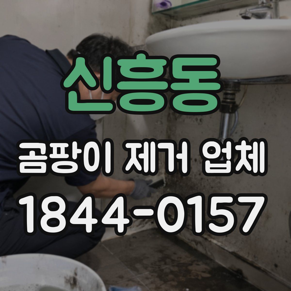 신흥동 곰팡이 제거 업체