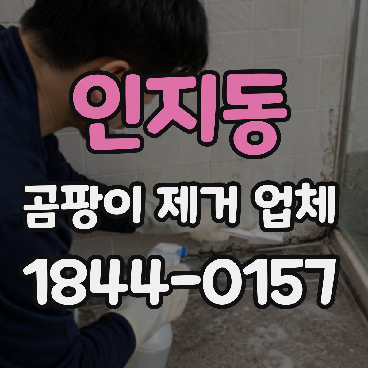 인지동 곰팡이 제거 업체