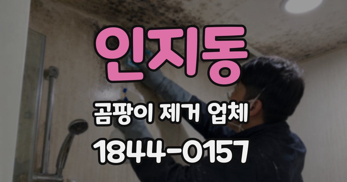 인지동 곰팡이 제거 업체