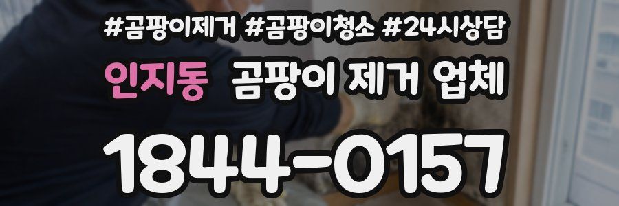 인지동 곰팡이 제거 업체
