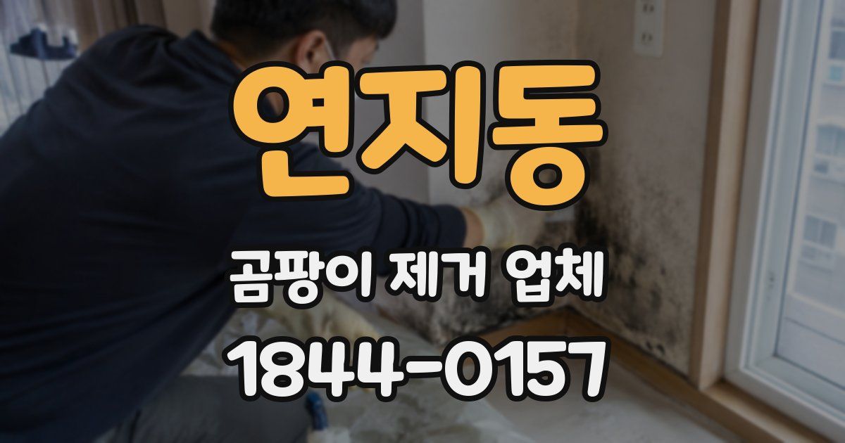 연지동 곰팡이 제거 업체