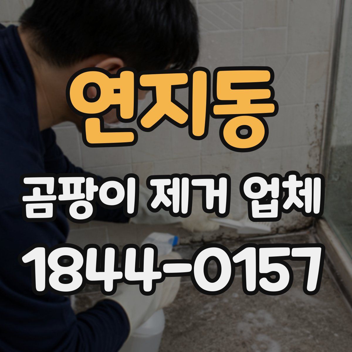 연지동 곰팡이 제거 업체