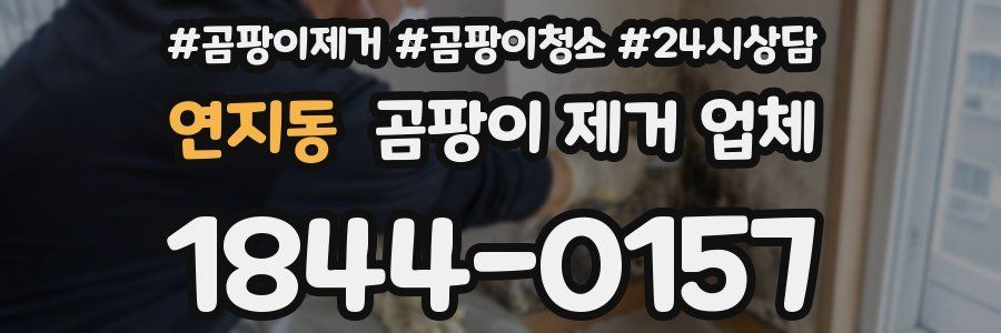 연지동 곰팡이 제거 업체