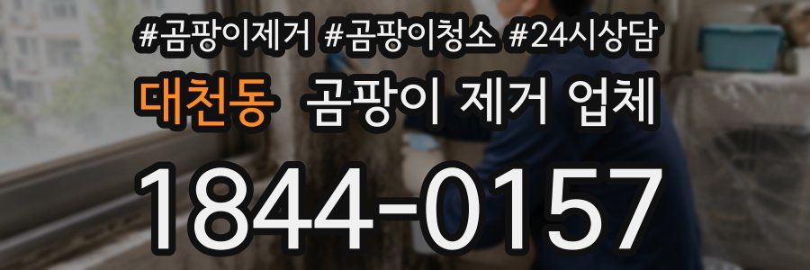 대천동 곰팡이 제거 업체
