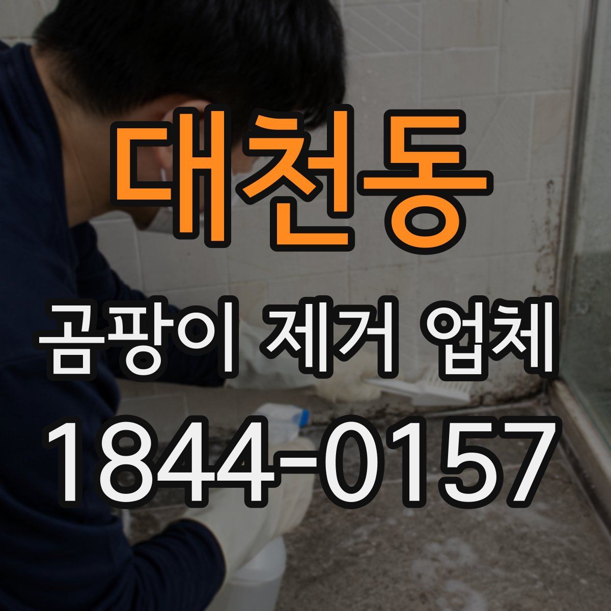 대천동 곰팡이 제거 업체