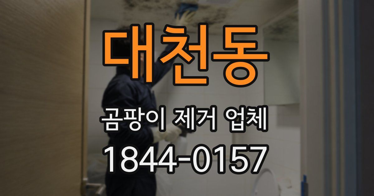 대천동 곰팡이 제거 업체