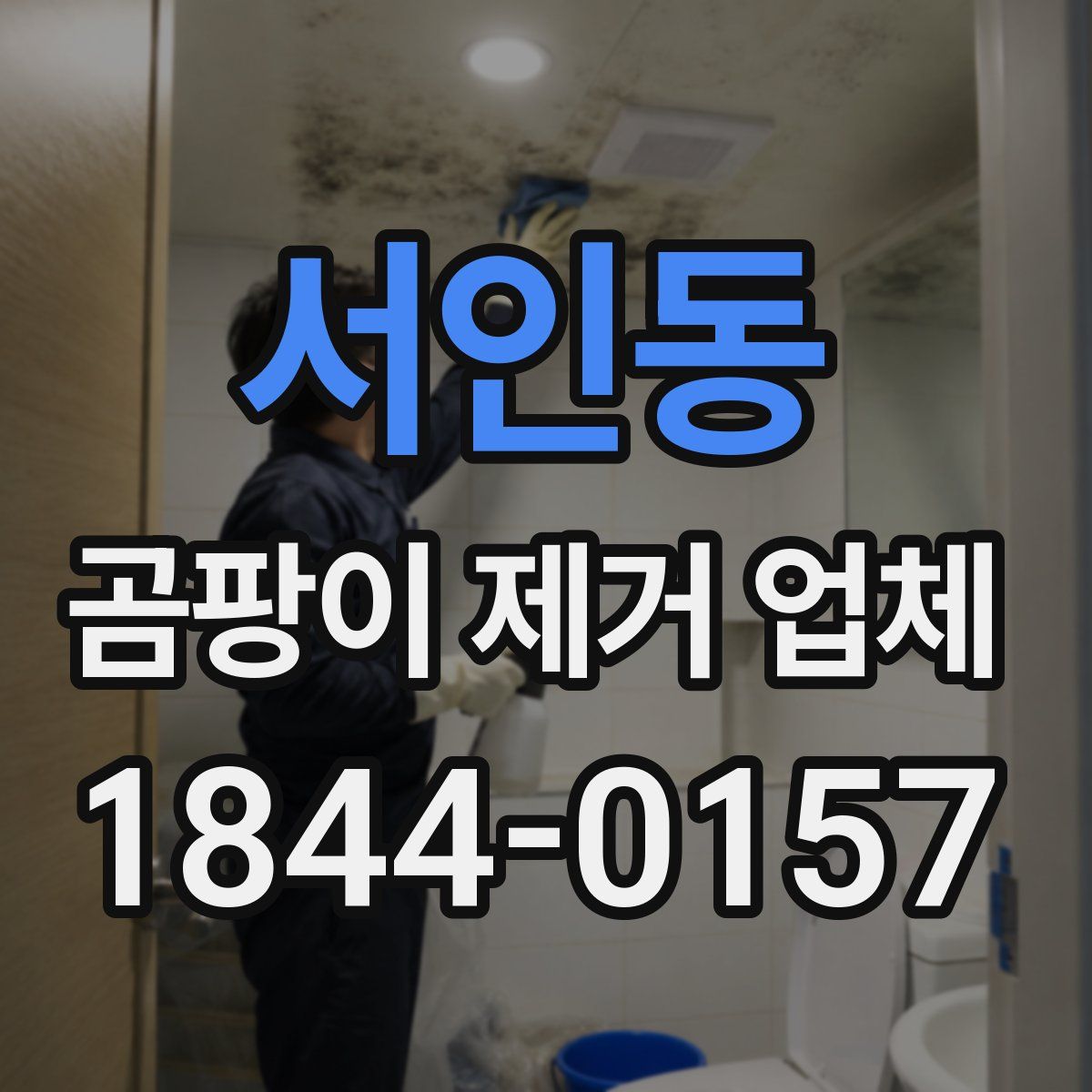서인동 곰팡이 제거 업체