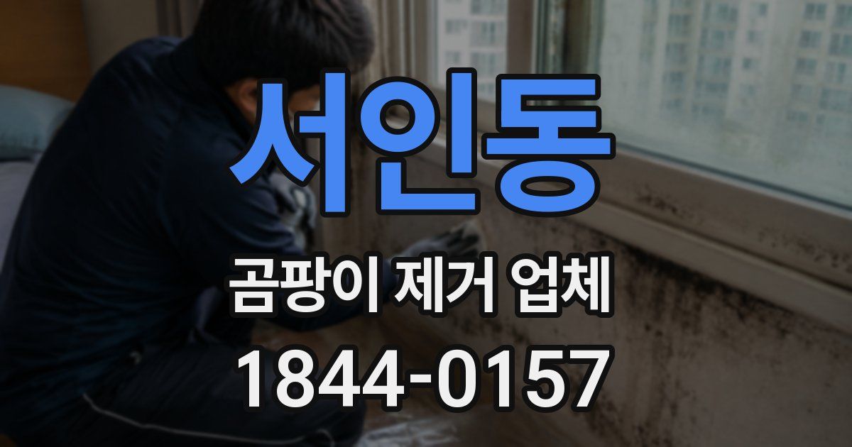 서인동 곰팡이 제거 업체