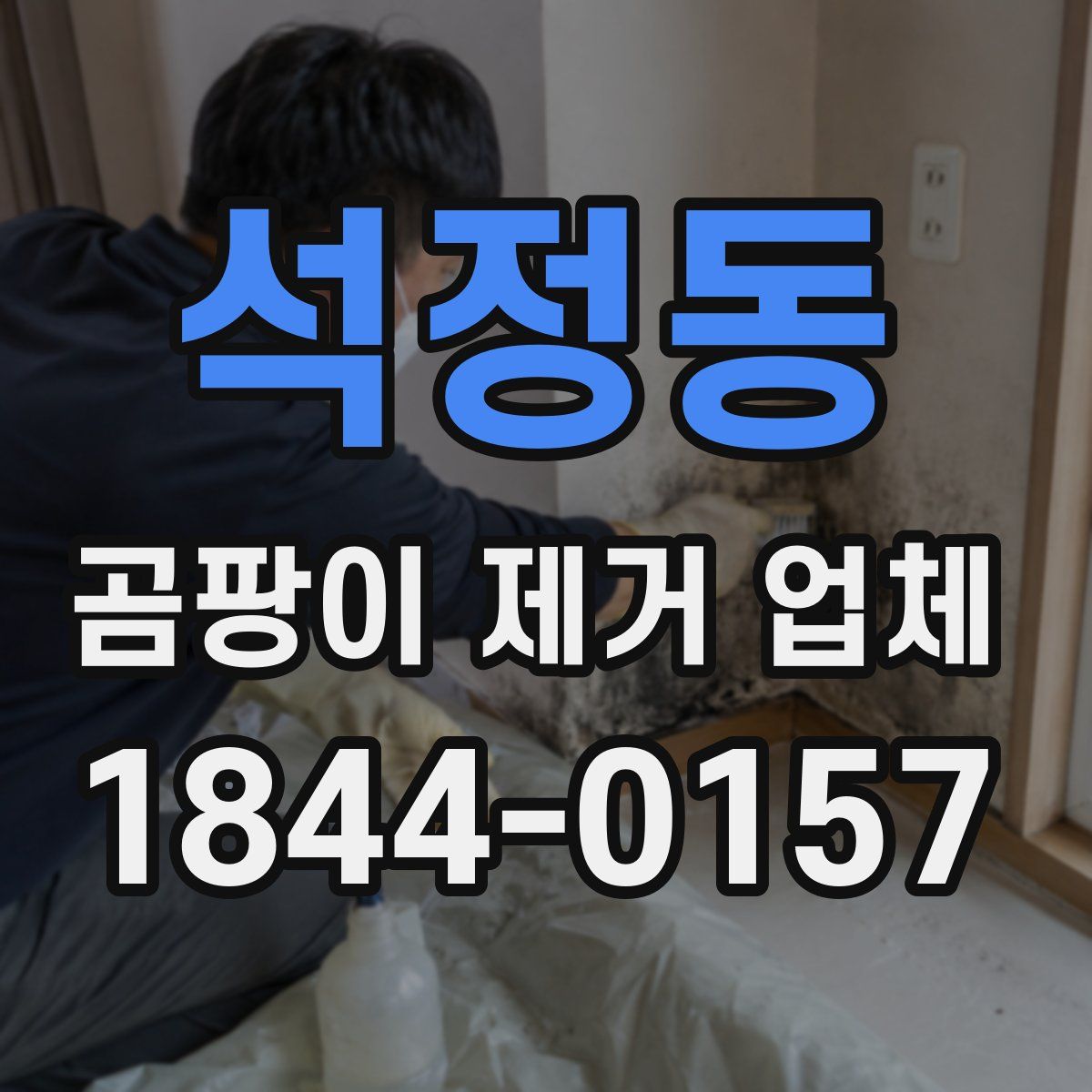 석정동 곰팡이 제거 업체