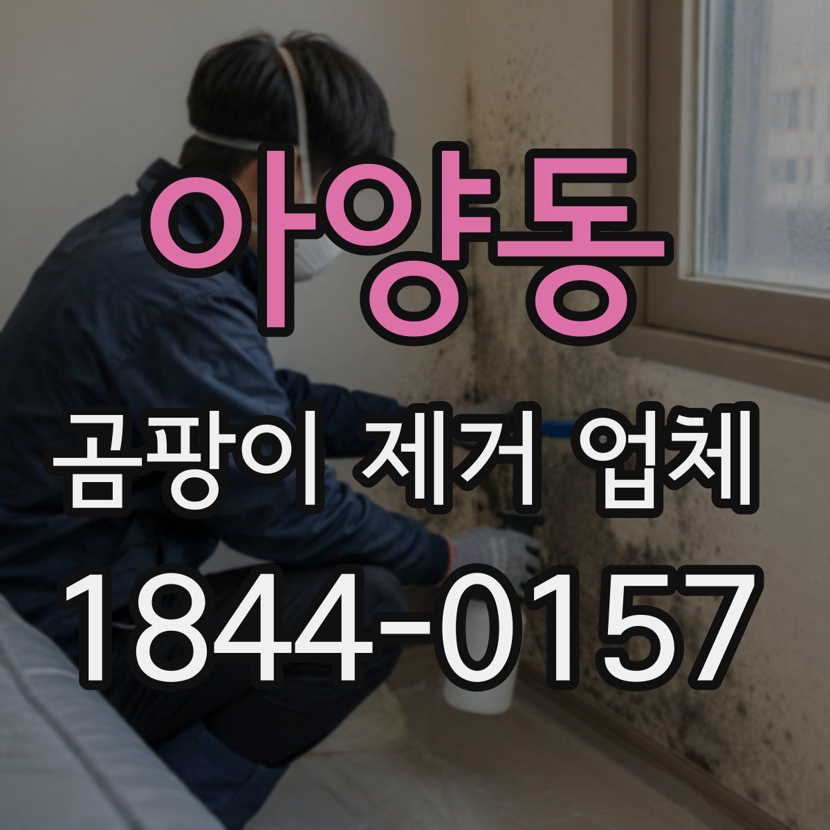 아양동 곰팡이 제거 업체
