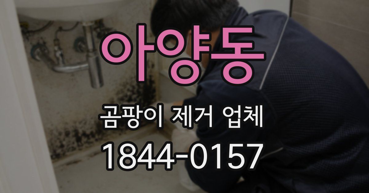 아양동 곰팡이 제거 업체