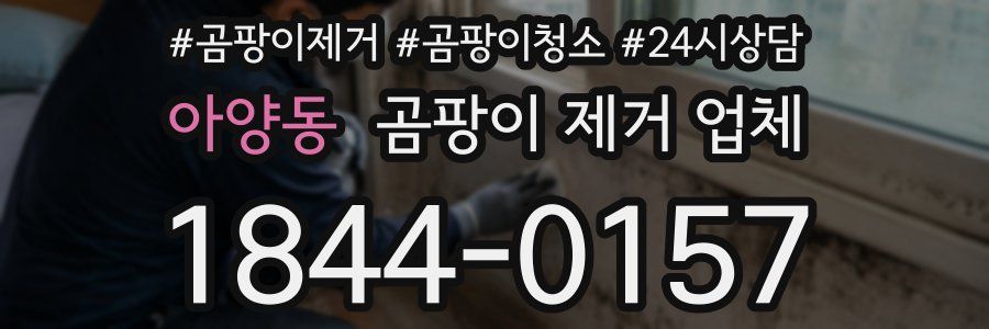 아양동 곰팡이 제거 업체