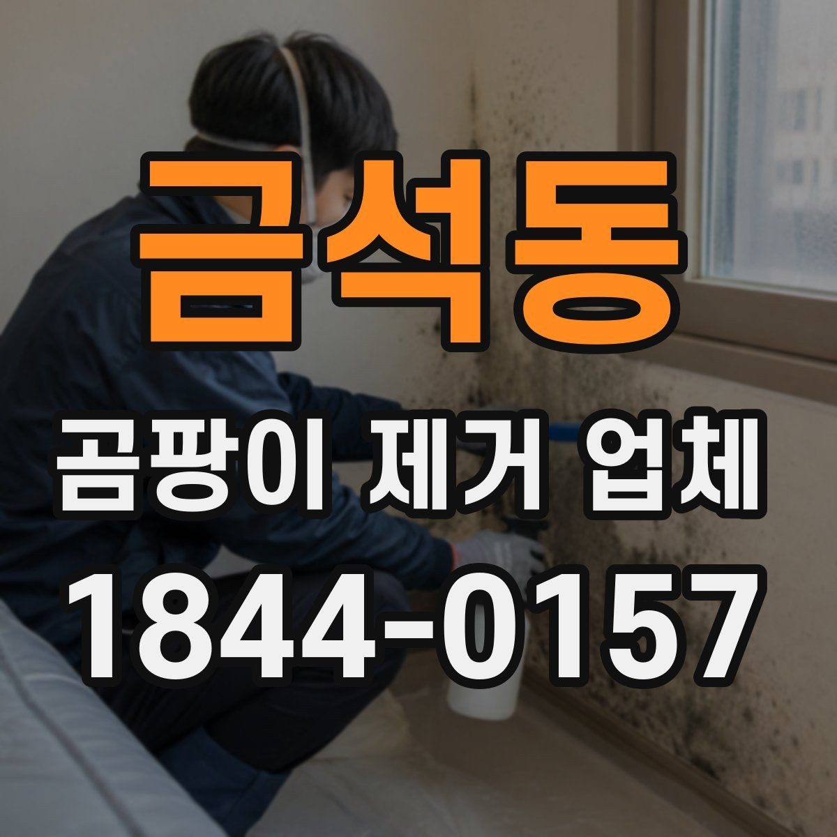 금석동 곰팡이 제거 업체 현장 사진으로 확인하는 오염 범위와 손상 정도