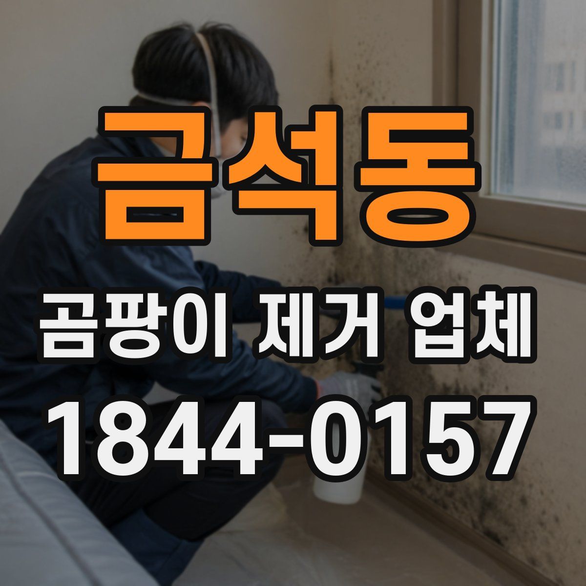 금석동 곰팡이 제거 업체