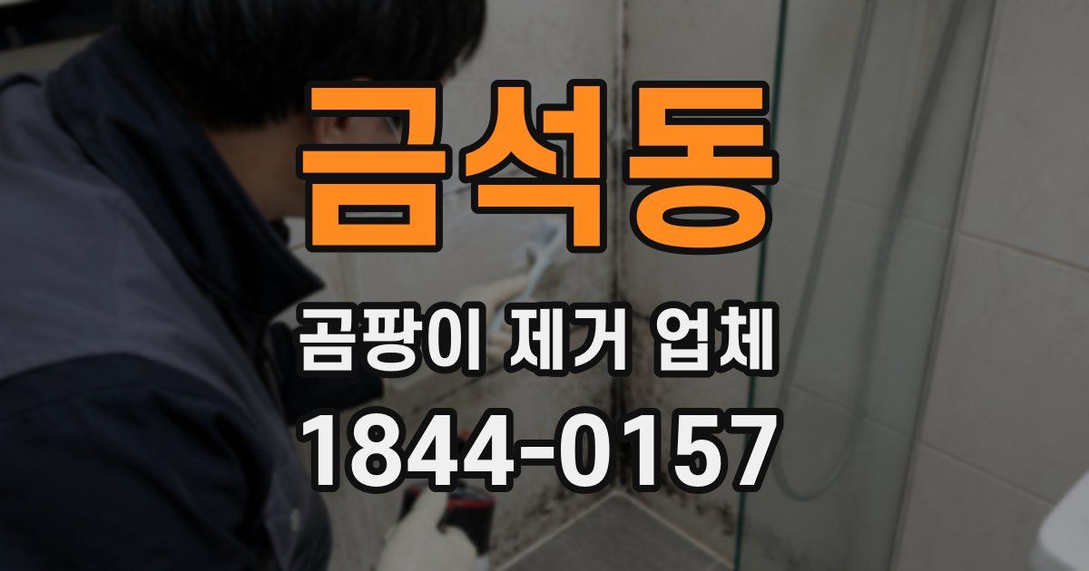 금석동 곰팡이 제거 업체