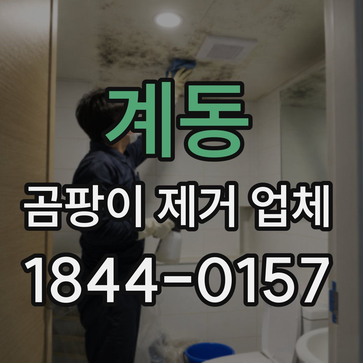 계동 곰팡이 제거 업체