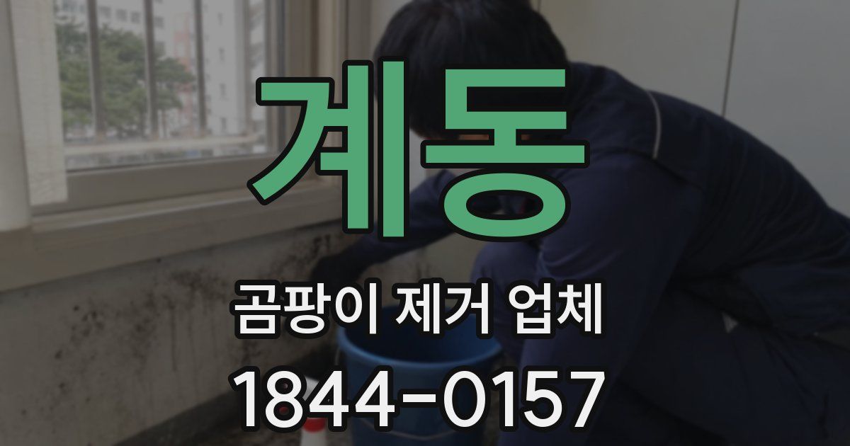 계동 곰팡이 제거 업체