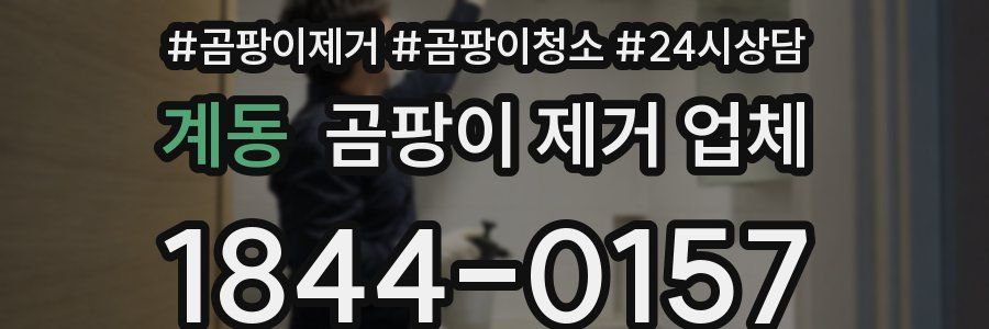 계동 곰팡이 제거 업체