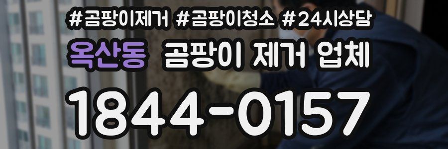 옥산동 곰팡이 제거 업체