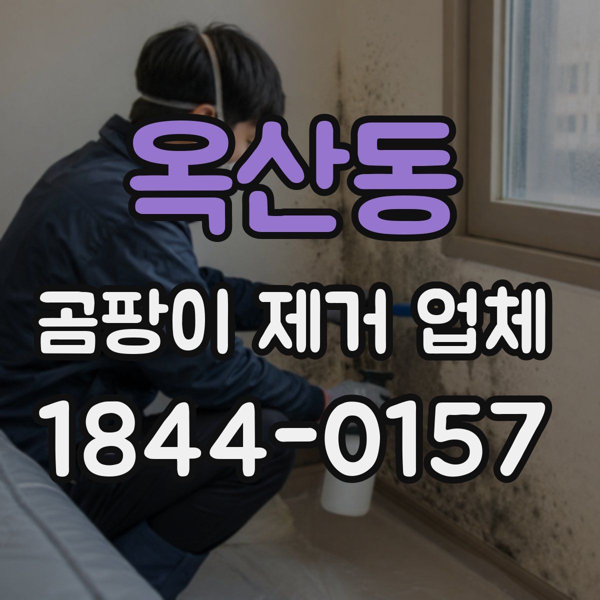 옥산동 곰팡이 제거 업체