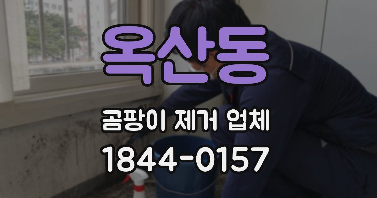 옥산동 곰팡이 제거 업체