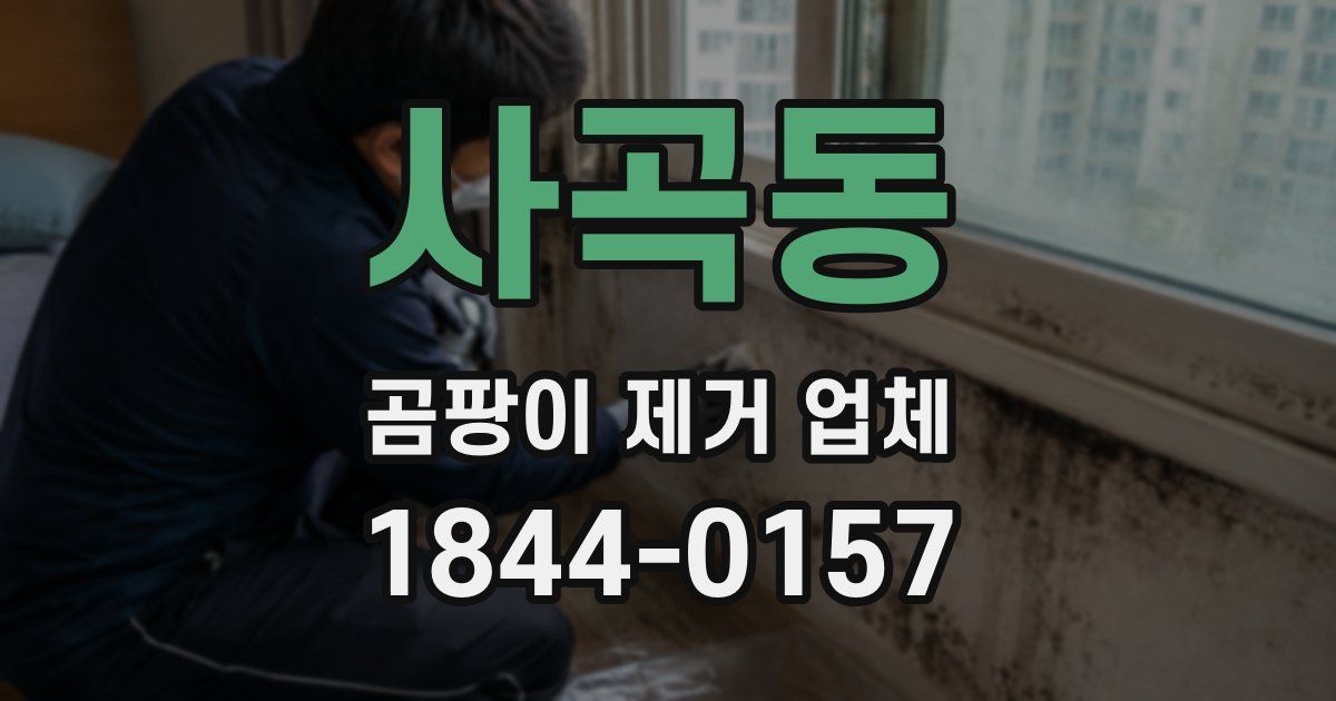 사곡동 곰팡이 제거 업체