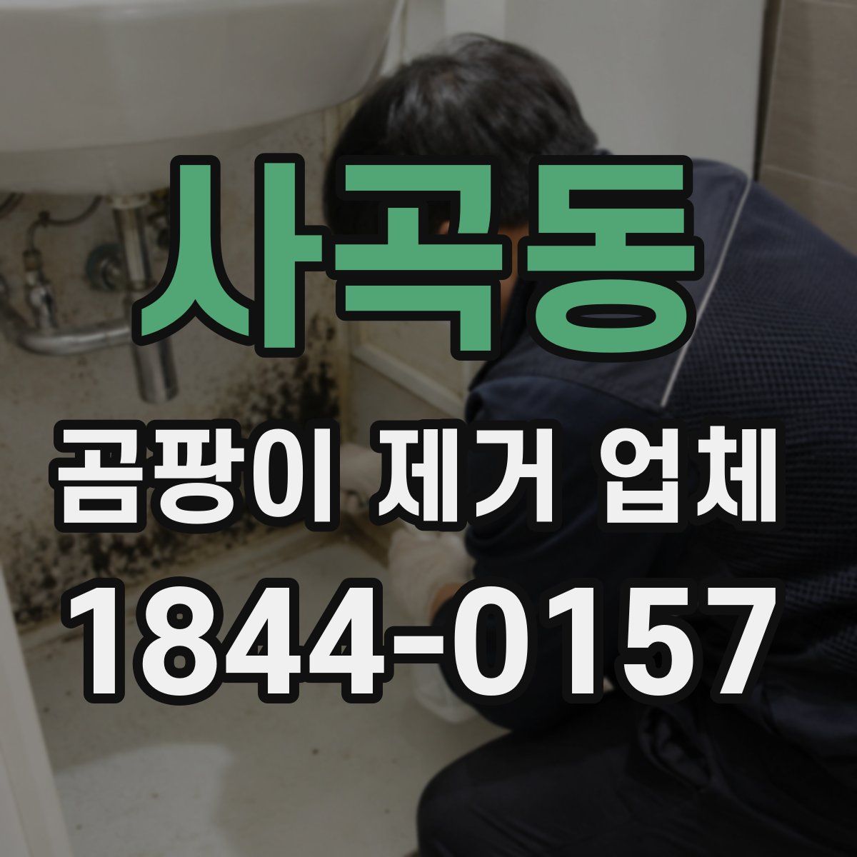 사곡동 곰팡이 제거 업체