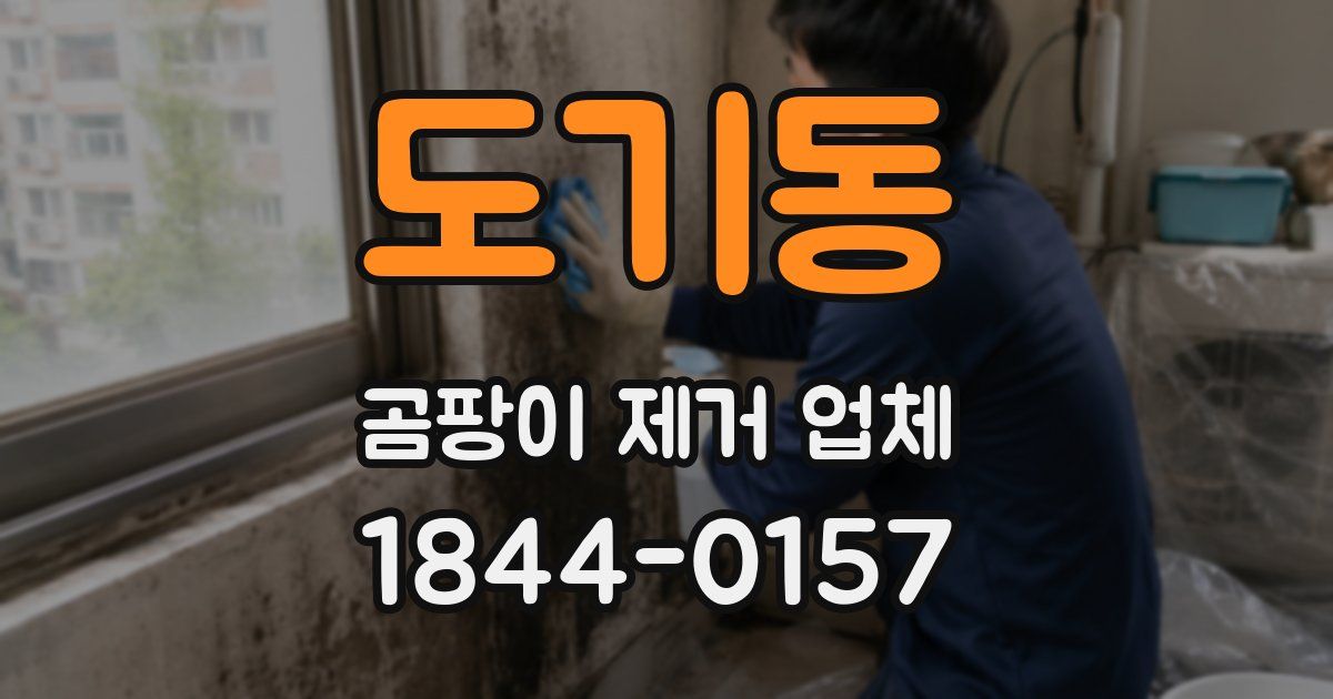도기동 곰팡이 제거 업체