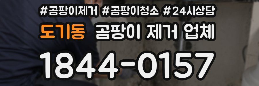 도기동 곰팡이 제거 업체