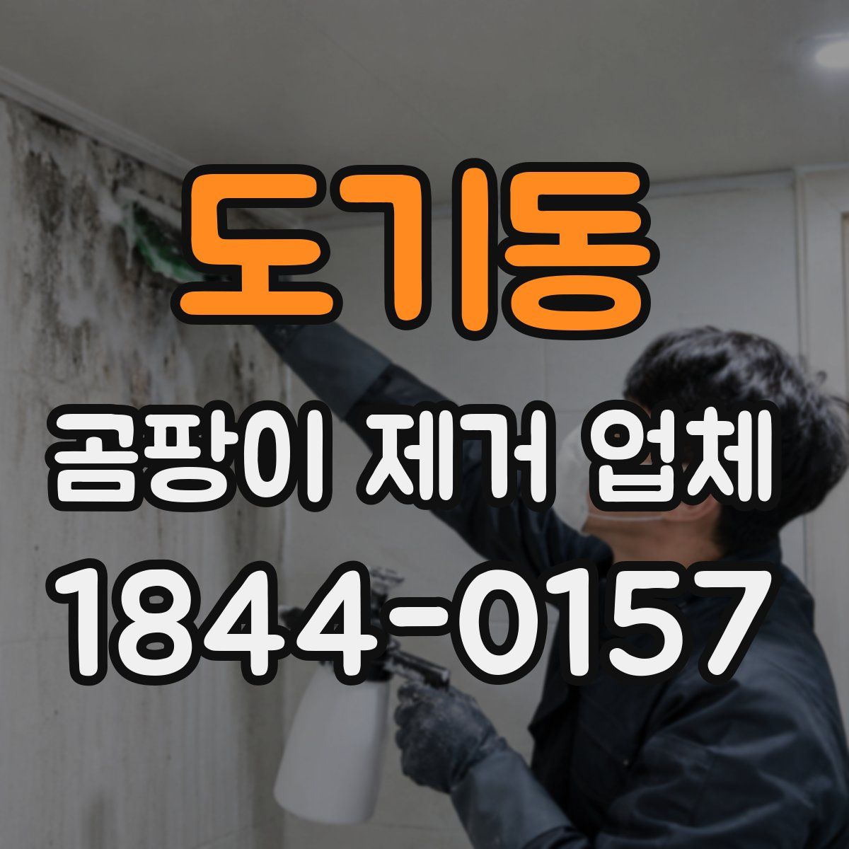 도기동 곰팡이 제거 업체