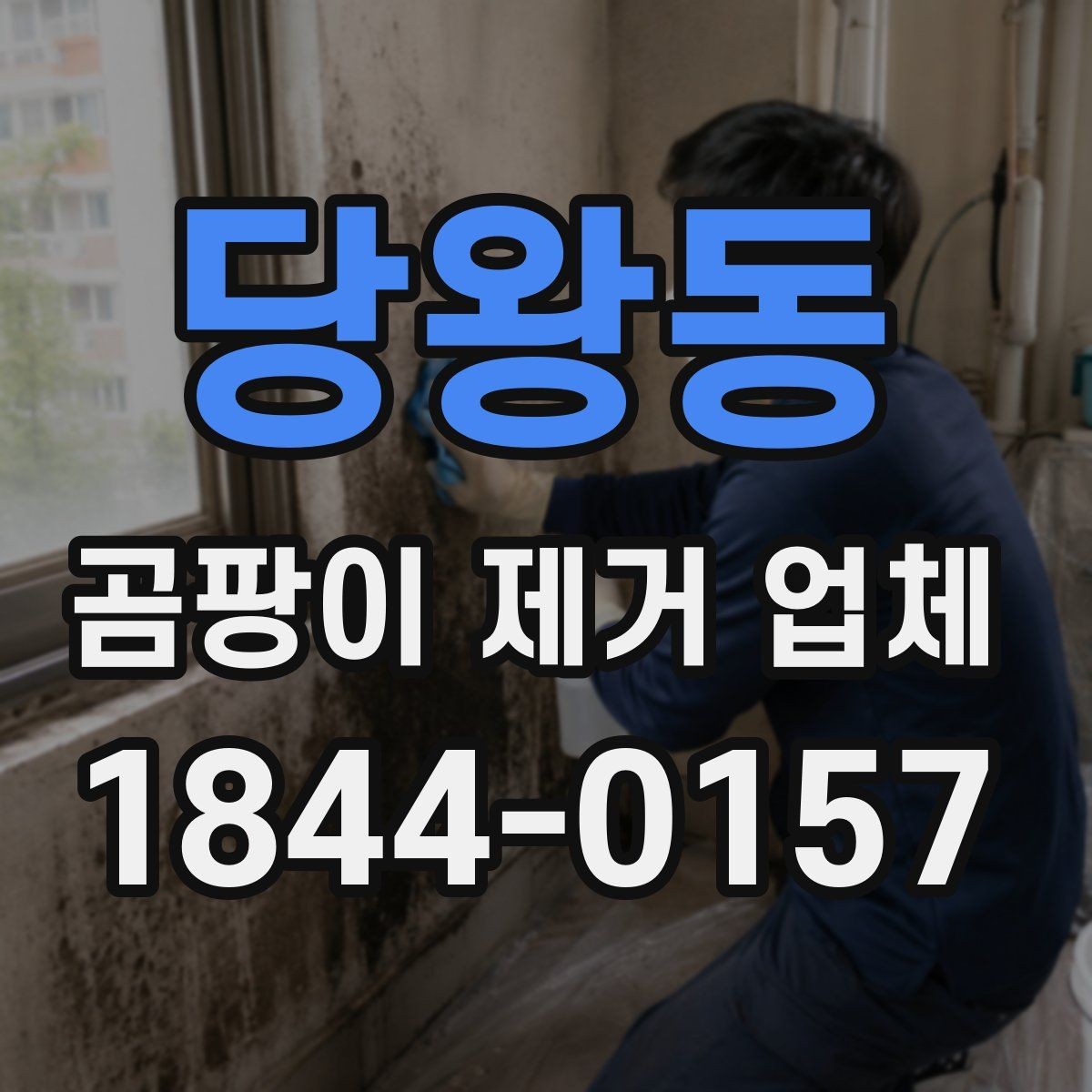 당왕동 곰팡이 제거 업체 세대 간 번짐 여부 확인이 필요한 경우