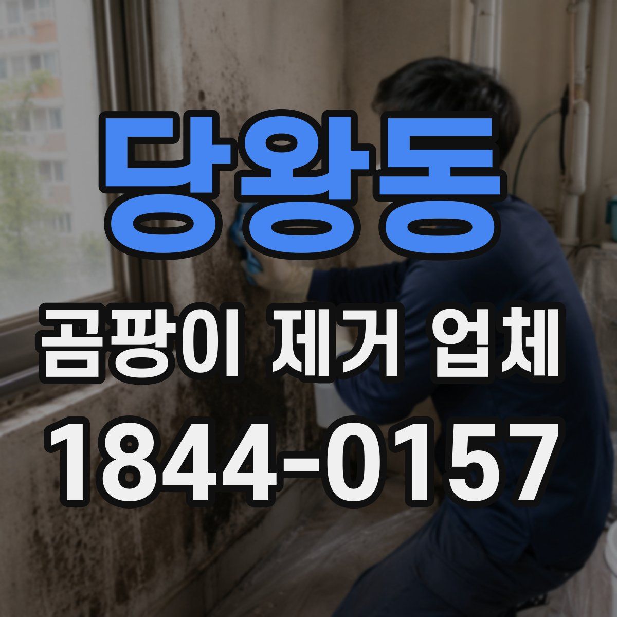 당왕동 곰팡이 제거 업체
