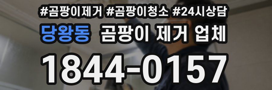 당왕동 곰팡이 제거 업체