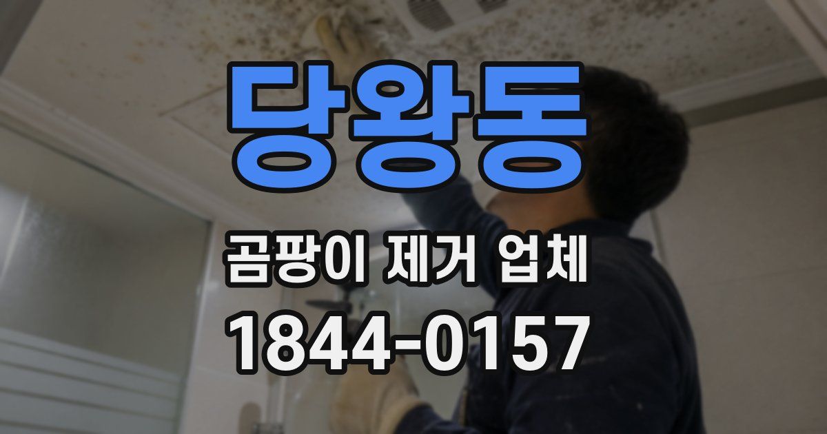 당왕동 곰팡이 제거 업체