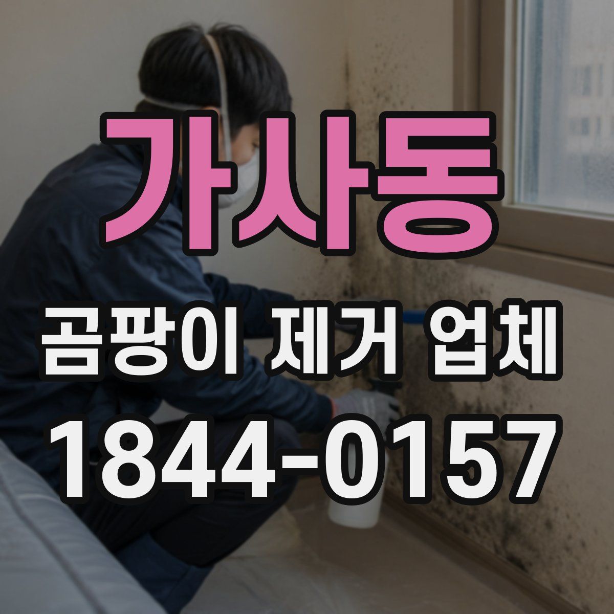 가사동 곰팡이 제거 업체