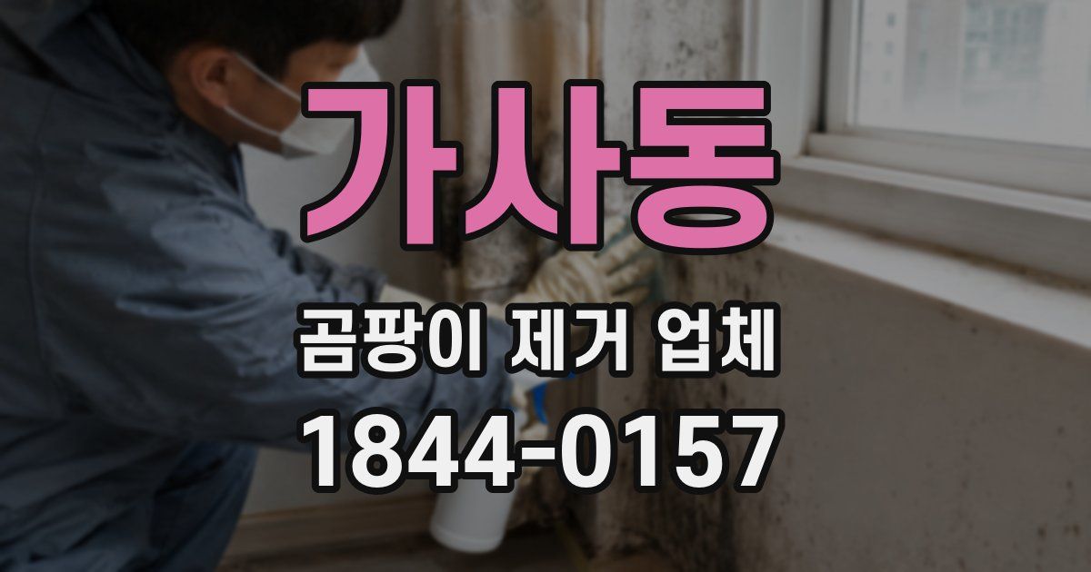 가사동 곰팡이 제거 업체