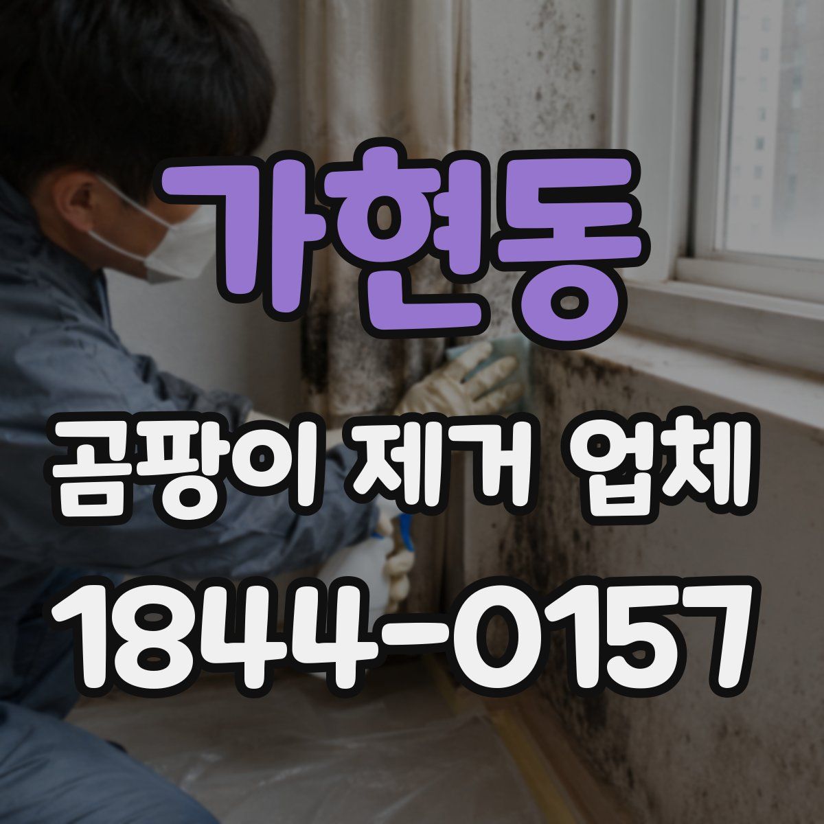 가현동 곰팡이 제거 업체