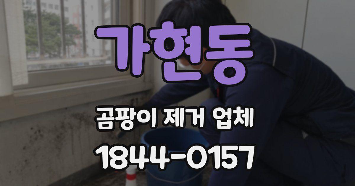 가현동 곰팡이 제거 업체