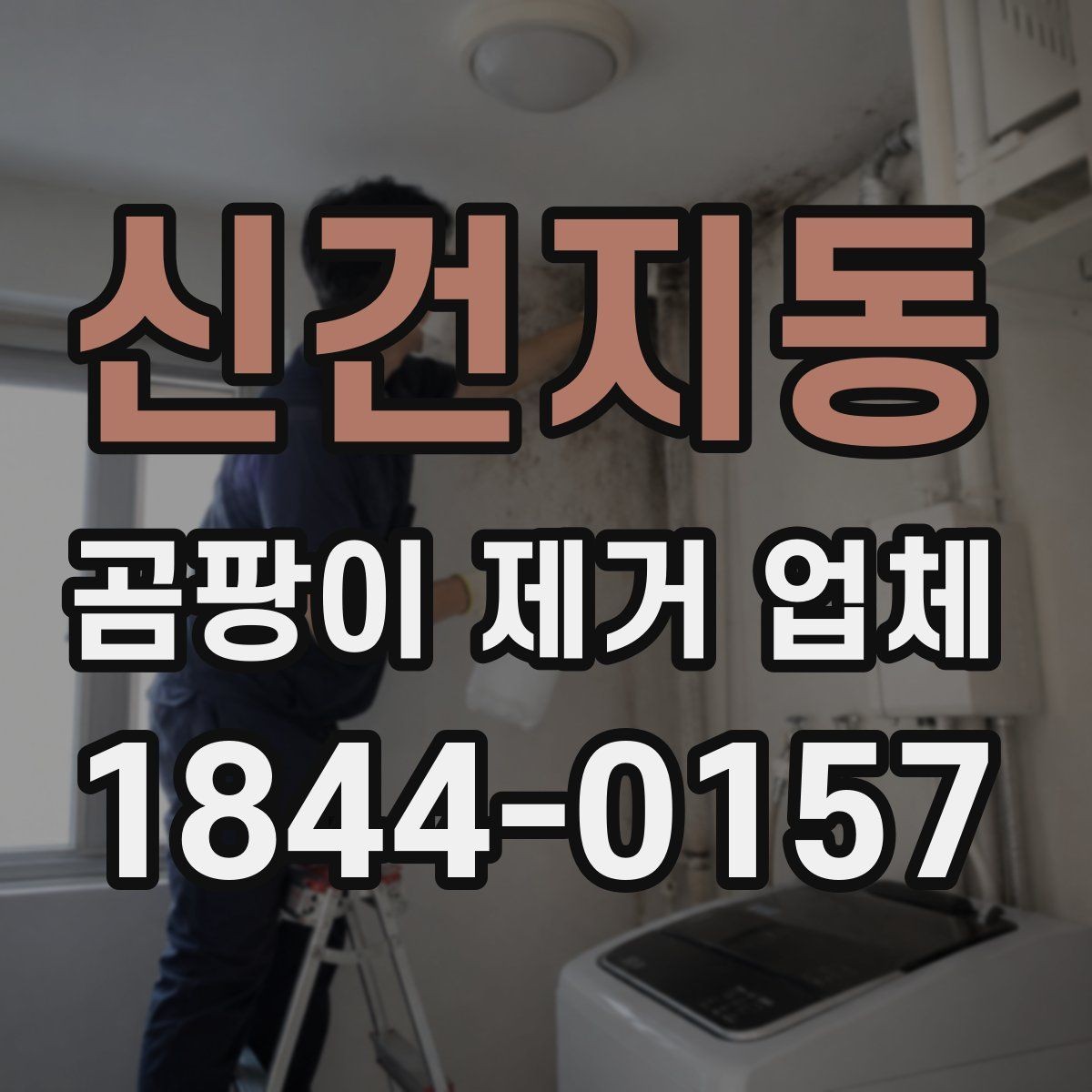 신건지동 곰팡이 제거 업체 벽체 내부 오염 가능성을 확인하는 체크리스트