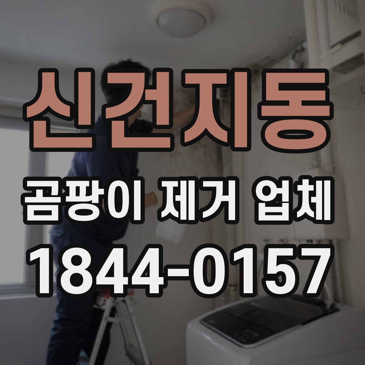 신건지동 곰팡이 제거 업체
