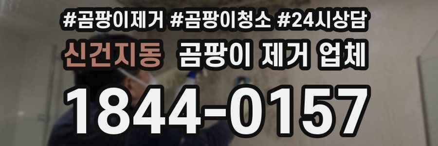 신건지동 곰팡이 제거 업체