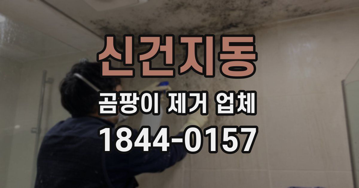 신건지동 곰팡이 제거 업체
