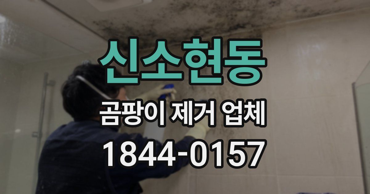 신소현동 곰팡이 제거 업체