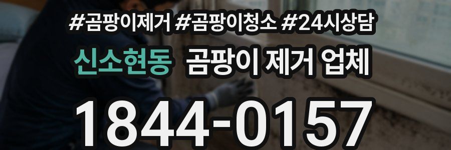 신소현동 곰팡이 제거 업체