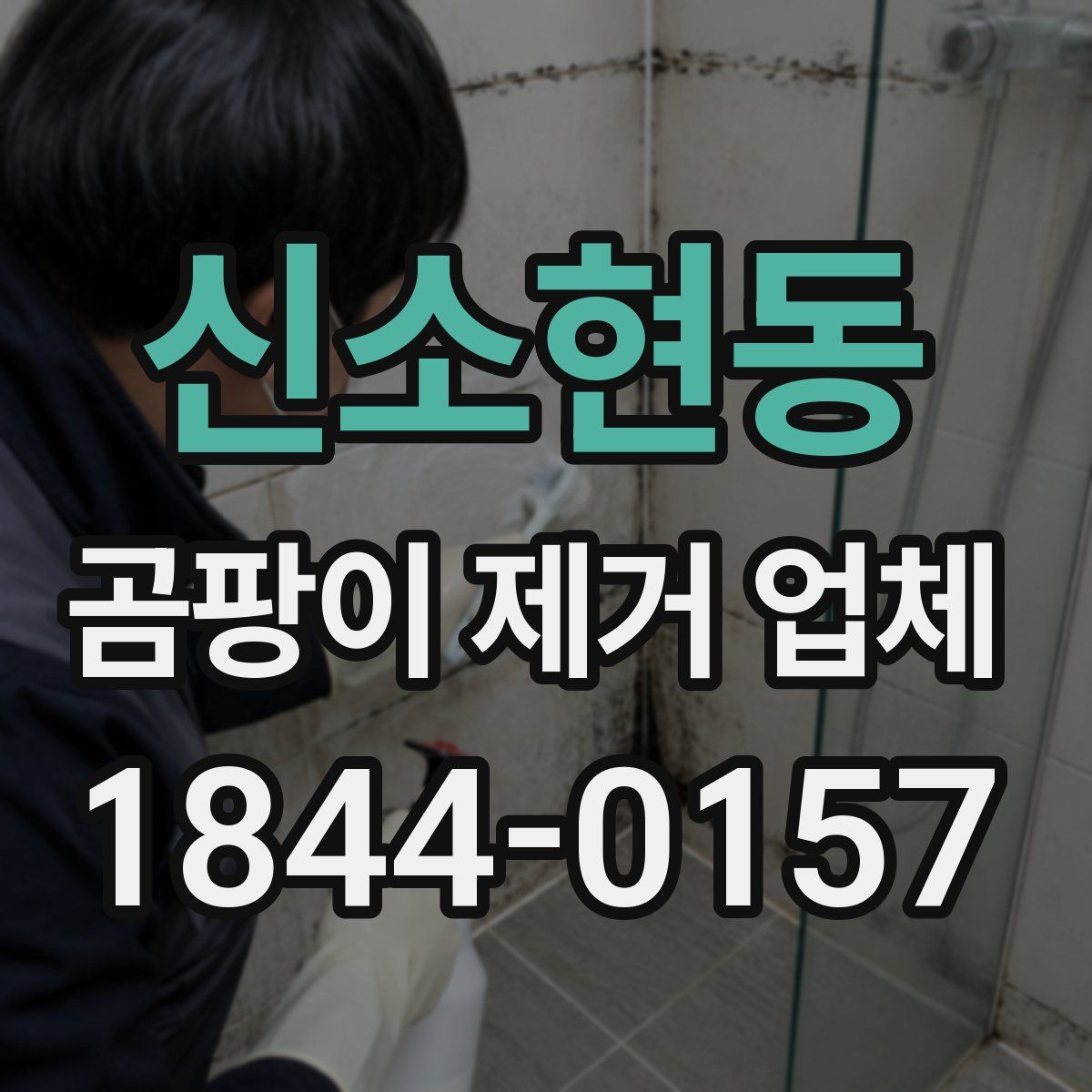 신소현동 곰팡이 제거 업체