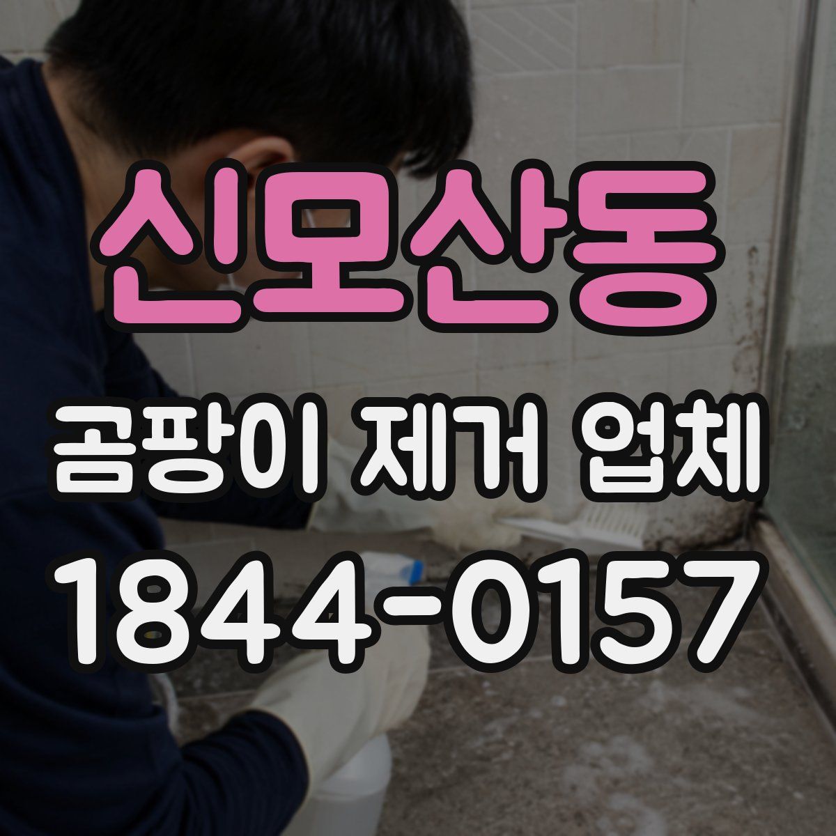 신모산동 곰팡이 제거 업체