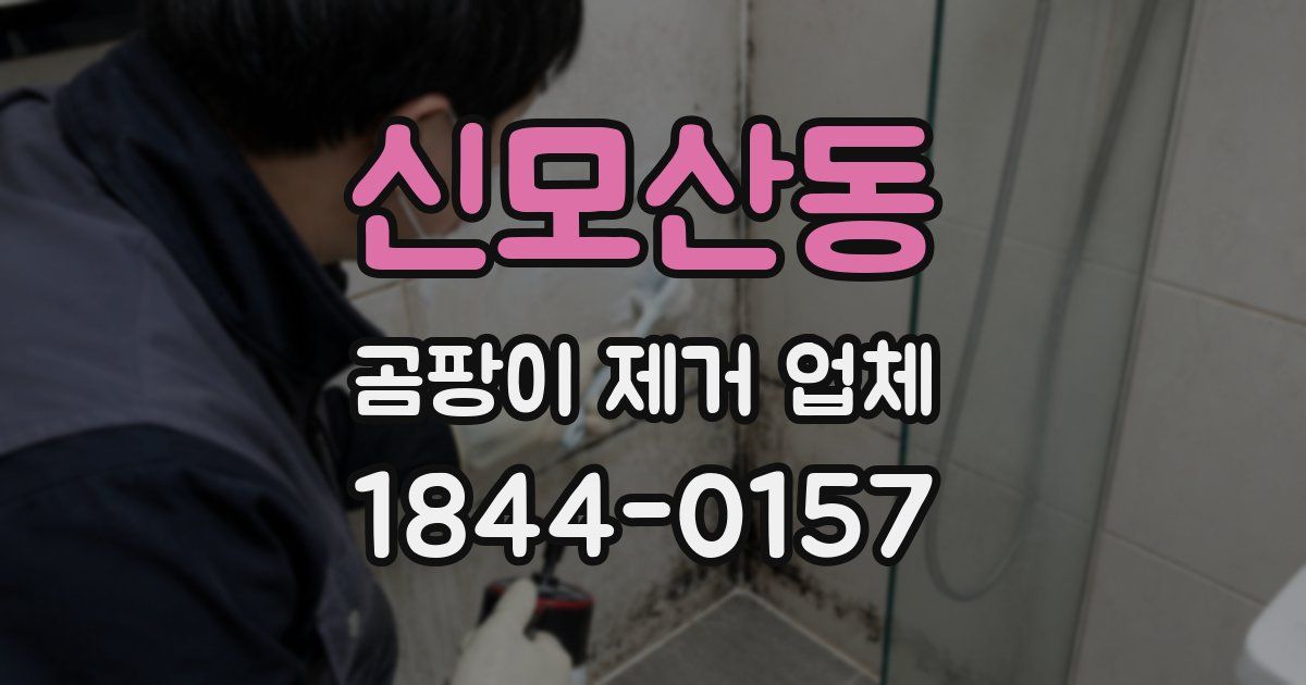 신모산동 곰팡이 제거 업체