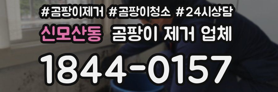 신모산동 곰팡이 제거 업체
