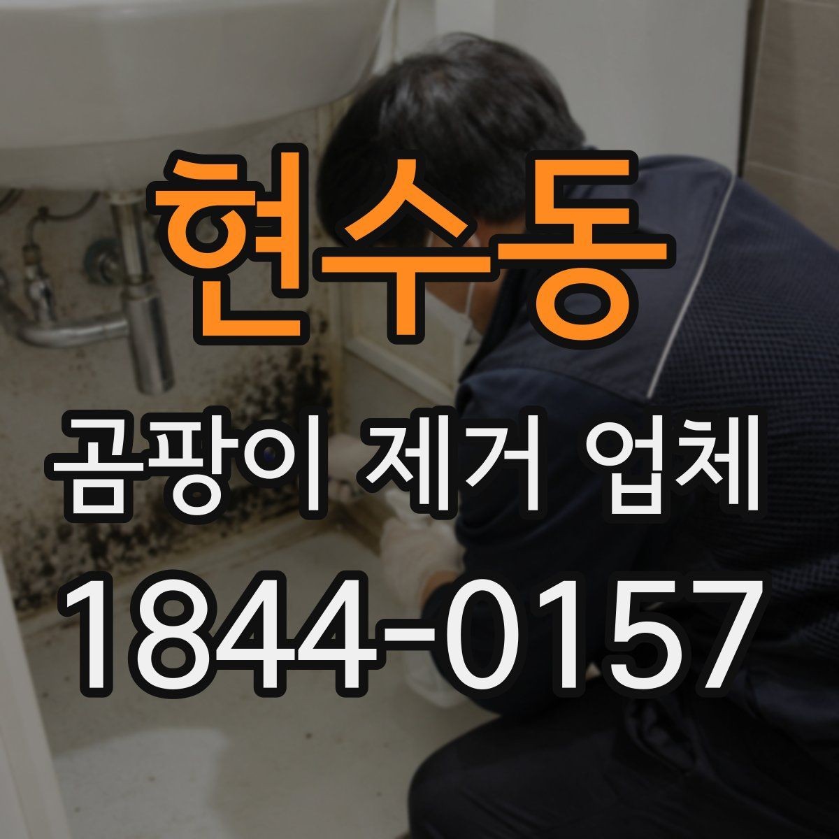 현수동 곰팡이 제거 업체 생활 오염과 곰팡이를 구분해 처리하는 시점