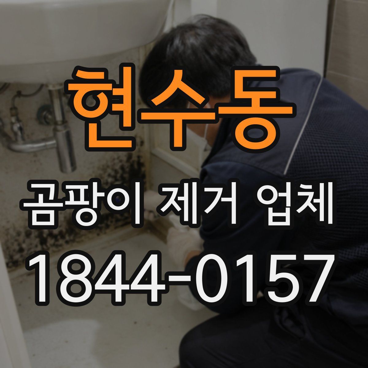 현수동 곰팡이 제거 업체